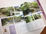 re_image06