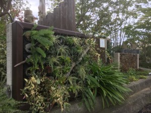 写真 2017-08-26 8 56 46