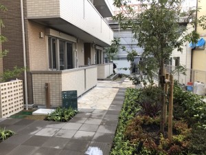 生野区マンション植栽工事 (2)