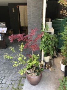 大阪市阿倍野区やすきやさん (1)