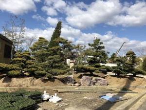 写真 2019-03-08 10 14 48