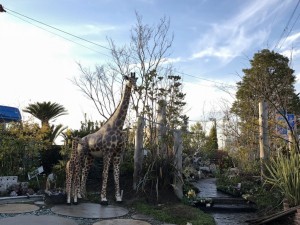 写真 2019-03-09 16 59 08