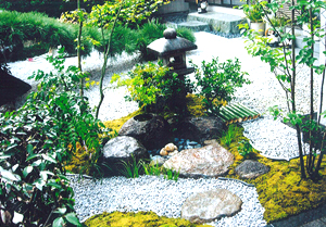 大阪府　松原市　Y邸　和風の庭造り（露地庭）（お茶の庭）