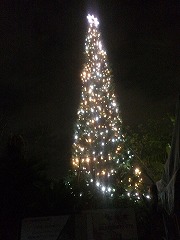 クリスマスツリー（8m）　プロデュース、製作、レンタリース