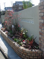 花壇内寄せ植え