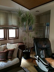 大阪　堺市　Ｔ様　観葉植物、屋内緑化　販売・レンタル