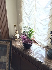 販売・レンタル