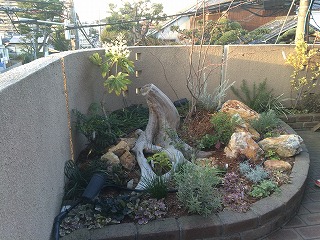 花壇内寄せ植え・ロックガーデン