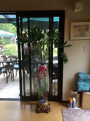 水槽と観葉植物のコラボレーション