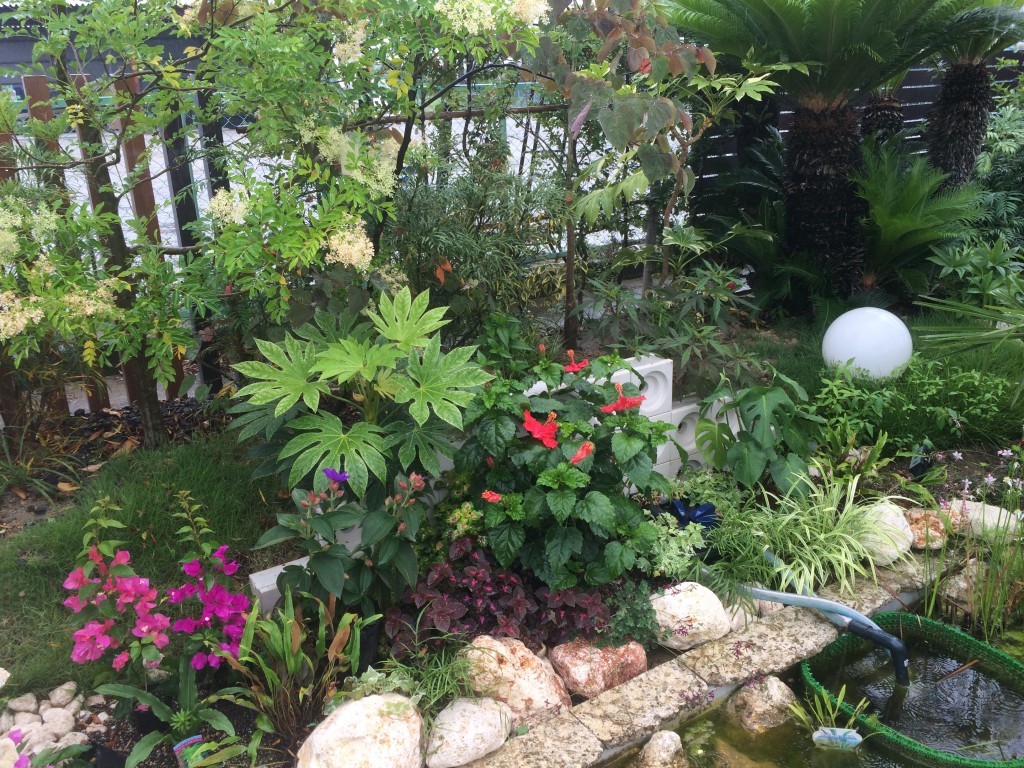 宿根草の花や樹木たちが見事に花を咲かせ見どころ満載