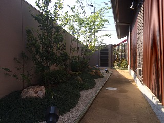 大阪　阪南市　T様　雑木林の庭つくり（自然風の庭）