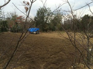 植木の生産販売園場（第2園場）の整備作業