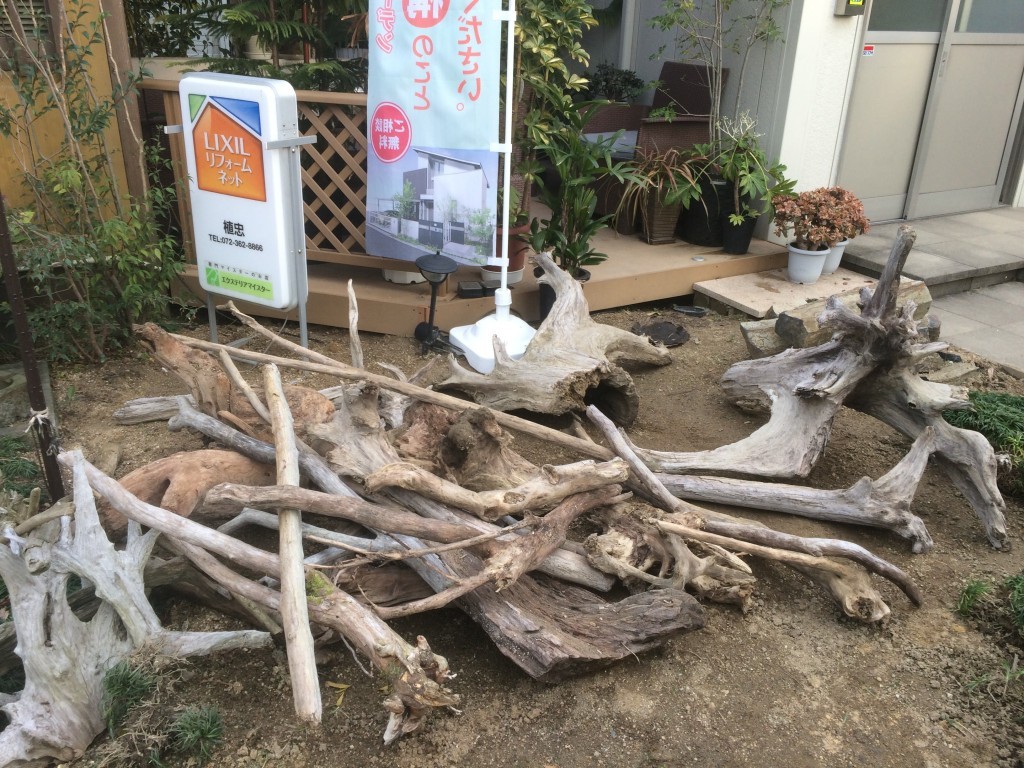 流木（大きい根、幹、小さい枝）大量入荷しました。