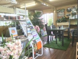 ショールームのインテリアに緑の装飾、観葉植物、植木、インテリアグリーン