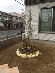 大阪 堺市 植栽工事 常緑ヤマボウシ株立ち 植え付け バリ島の庭石 据え付け 植忠 Blog