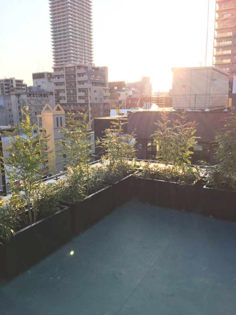 大阪市でプランター植栽工事、植木鉢に寄せ植えアレンジ
