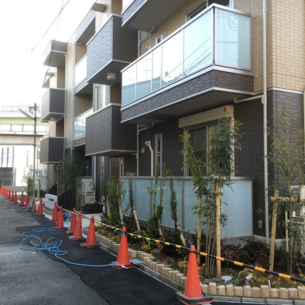 大阪　大阪市西淀川区　マンションの植栽工事（モミジ、シマトネリコ、シラカシ、植え付け　その他）