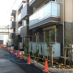 大阪　大阪市西淀川区　マンションの植栽工事（モミジ、シマトネリコ、シラカシ、植え付け　その他）