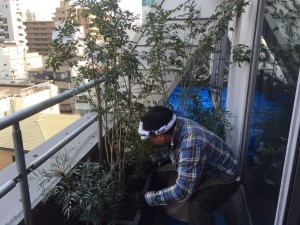 大阪　大阪市天王寺区　商業ビルのバルコニーの植栽工事