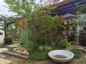 植忠の庭の展示場の中に　和風モダンの庭　完成