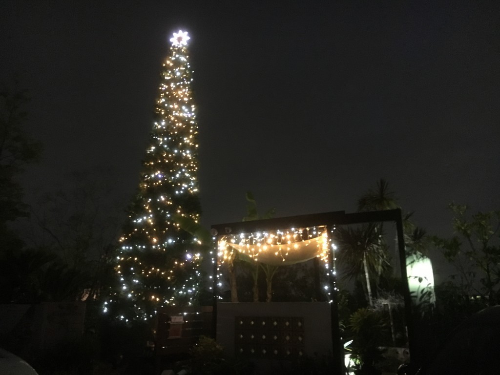 植忠の庭の展示場内で10メートルのクリスマスツリ－、イルミネーション装飾しました。