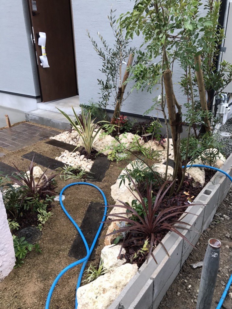 大阪　豊中市　庭造り、植栽工事　シマトネリコ、オリーブなど