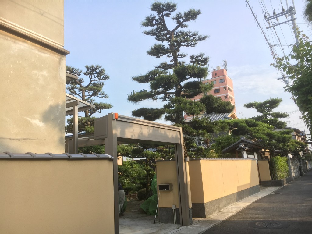 大阪　高石市　庭の管理、松の剪定　本日、着工