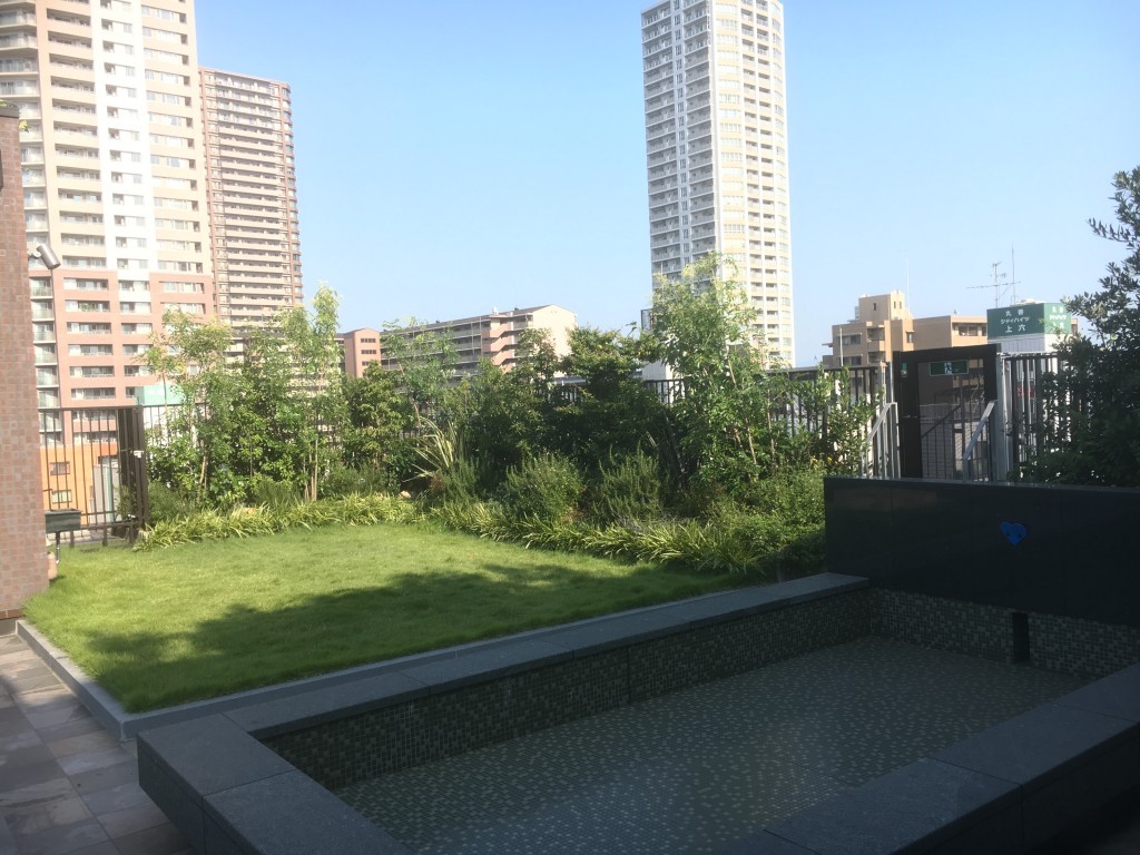 大阪　大阪市天王寺区　６月期の屋上庭園の管理、植木の剪定　6/20作業完了
