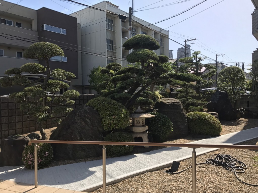 大阪　堺市堺区　庭の管理、植木の剪定