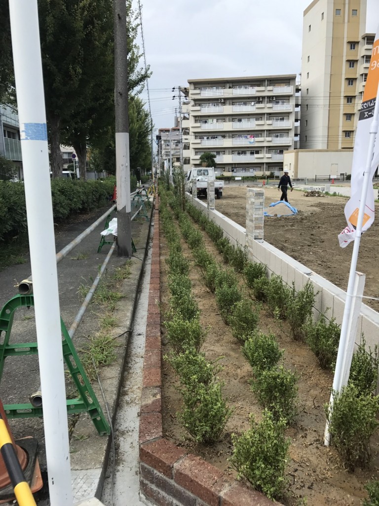 大阪　大阪市平野区　建築造成地外周花壇２か所の植栽工事（オリーブ、ポップブッシュ、ブルーヘブン、ハクチョウゲ）