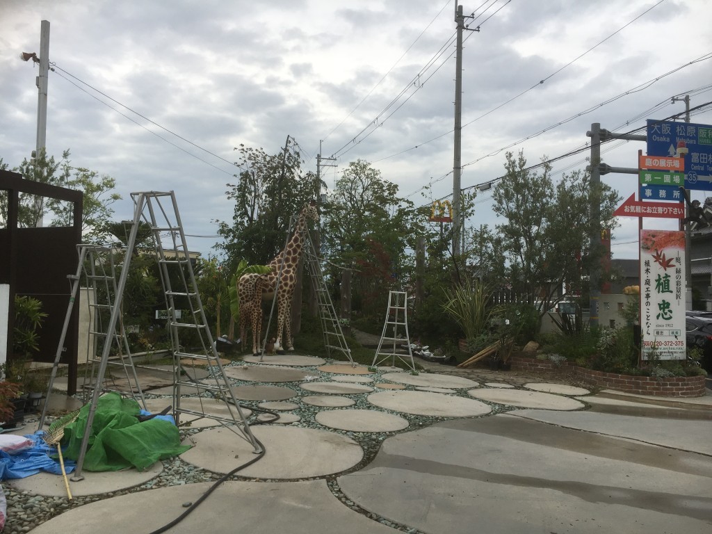 大阪　堺市　植忠の庭の展示場 庭造り、植木販売のスペース 秋のリフォーム、オープンガーデン