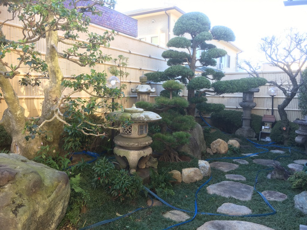 大阪　羽曳野市　Ｍ様　庭のリフォーム、マキの木・松の植え替え