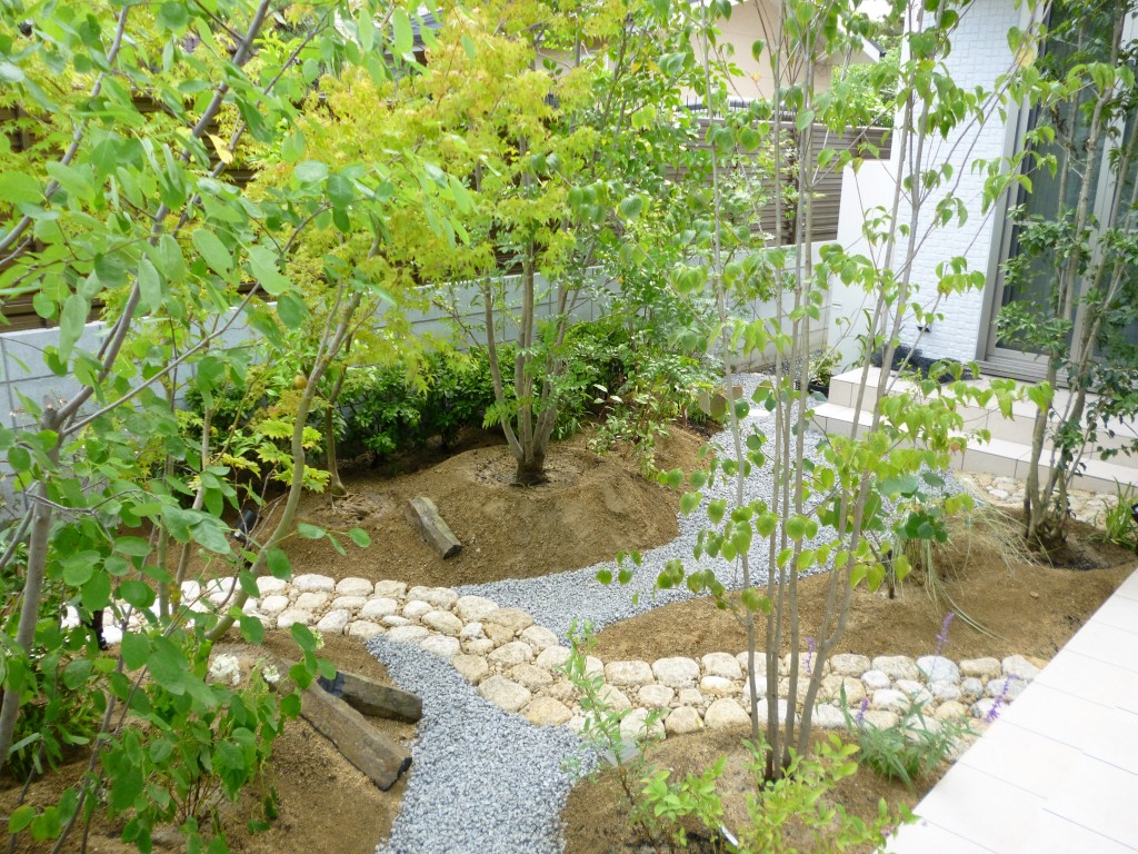 大阪　大阪市東住吉区　Ｋ様　雑木の庭造り（雑木林風）