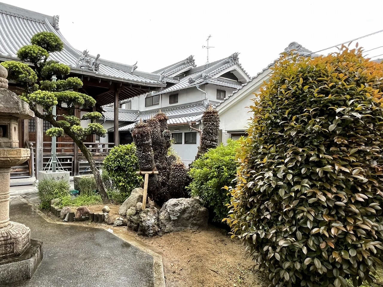 大阪　堺市美原区　S念寺様　寺社仏閣の庭のリフォーム（ソテツ植栽・石組）