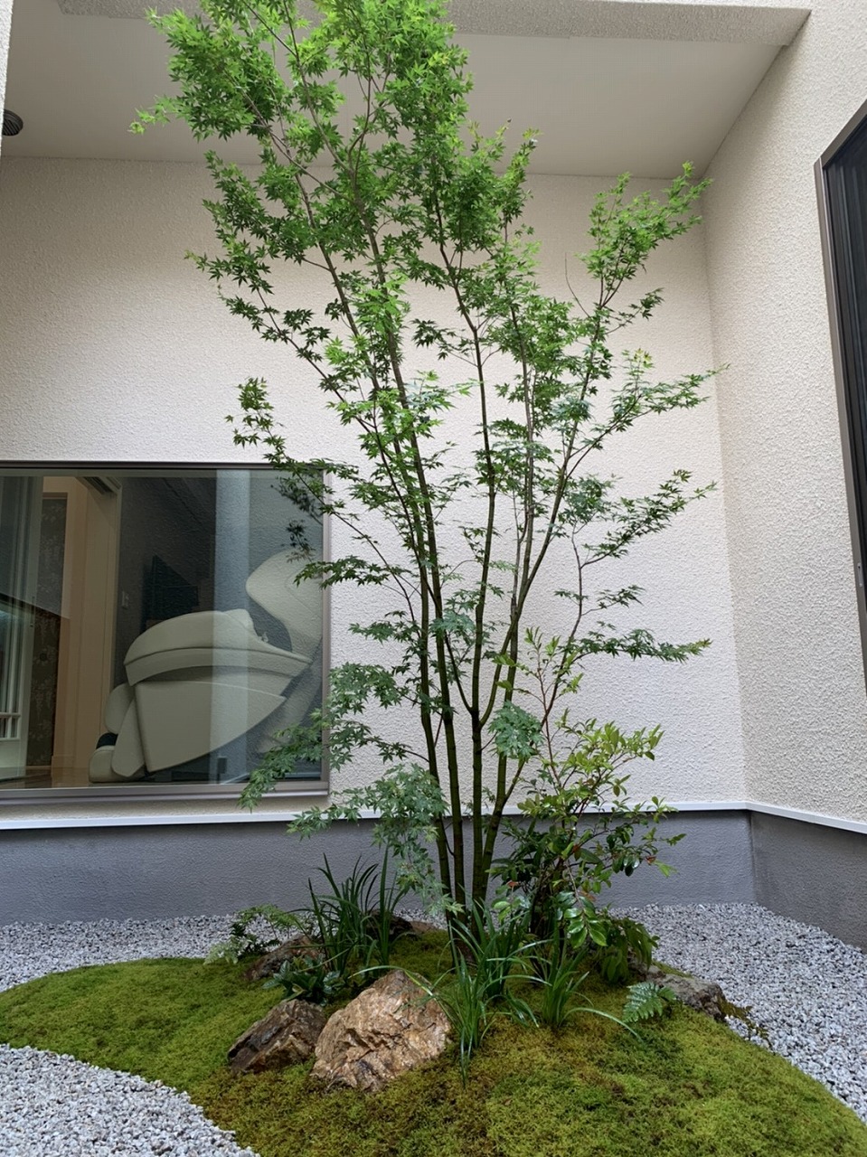 京都市北区　Ｏ様　モミジと苔の坪庭