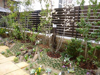 大阪　高石市　N邸 自然風の庭、雑木の庭つくり、ナチュラルガーデン