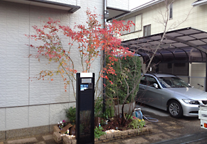 大阪　富田林市　Ｎ様 自然風の庭（雑木の庭）