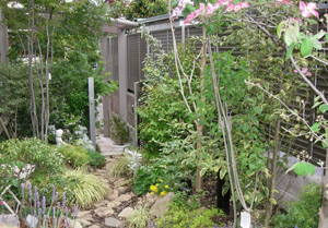 大阪　堺市　Ｍ様 里山の庭造り、雑木の庭、ロックガーデン