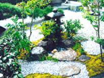 大阪府　松原市　Y邸　和風の庭造り（露地庭）（お茶の庭）